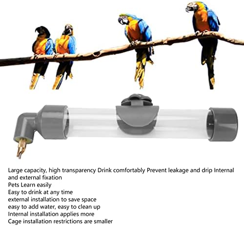 Bocal de água de água de aves automáticas Bocadas de agulha à prova de vazamento Dispositivo automático de consumo