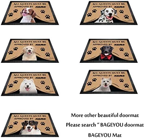Bageyou personalizado Funnic Basset Hound Dog Doormat Plaws Muddy Floor Decorativo Mat Bem -vindo à casa de Dog para