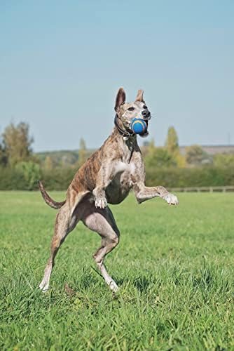 Chuckit! Fetch Ball medley 2, médio, bola de cachorro, 3 pacote, ultra, buscar bolas robustas incluídas