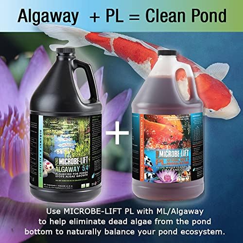 Algagal Algawaway 5.4 de micróbio Lift Tratamento de algas 5.4 para lagoas e jardins aquáticos, seguros para peixes koi,