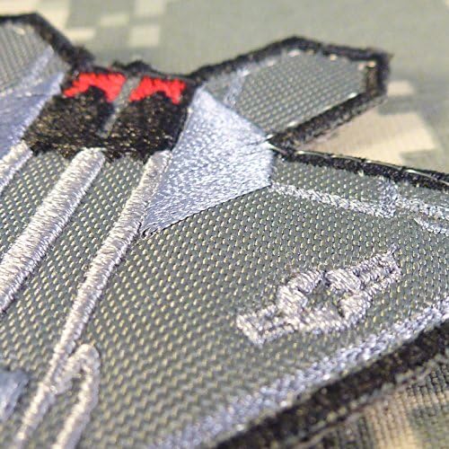 Legeeon USAF Lockheed Martin F-22 Raptor Stealth Fighter Bordado Touch Hook and Loop Patch