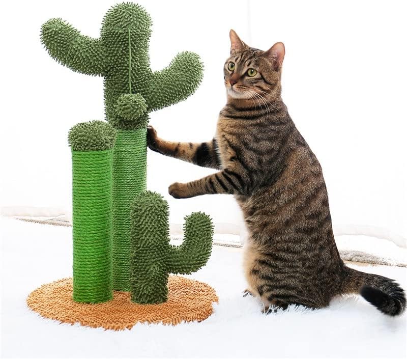 ZCMEB M/L CACTUS CAT RAÇO POSTO COM SISAL CACO CAT CACTER CACTUS CATUS ANDRES