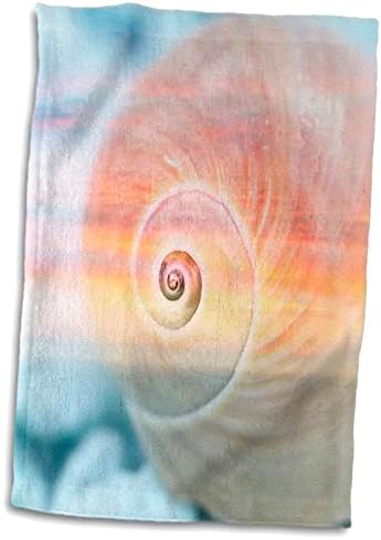 Fotoadapção de concha de caracol rosa e azul 3drose - toalhas - toalhas