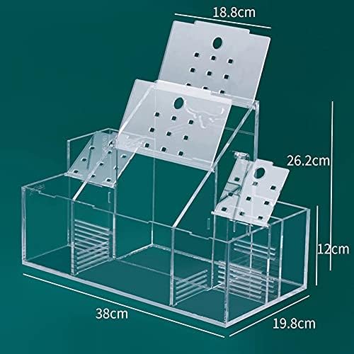 WJCCY Aquarium Fish Tank Acrílico Pequeno Caixa de Isolamento de Peixes Caixa de Reprodução Transparente Creative Desktop Betta
