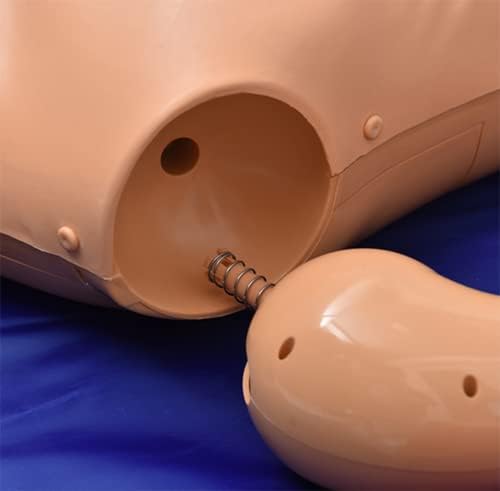Treinamento de primeiros socorros de RCP Manikin Cardiopulmonar Reasuscitation Simulator de corpo inteiro CPR Primeiros socorros de treinamento