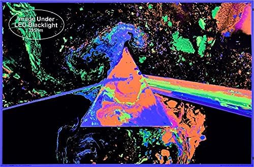 Studio B Pink Floyd - Pôster de Blacklight não preenchido 36 polegadas x 24 polegadas