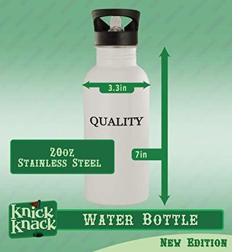 Presentes de Knick Knack Clouding - 20 onças de aço inoxidável garrafa de água, prata