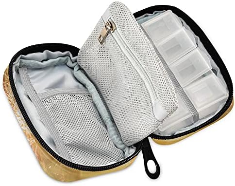 Liberty USA Bandle Pill Case Bag Pill Organizer Caixa com zíper portátil Vitamin Fish Oil Medicine Case para viajar