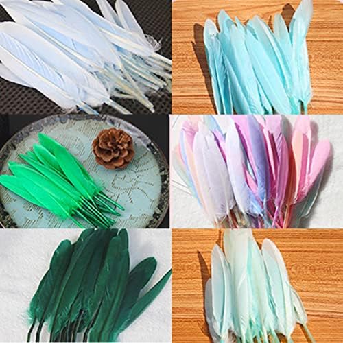 Yechun Feathers for Crafts | Penas coloridas - penas coloridas para artesanato decoração de jóias de apanhador de sonho, penas de