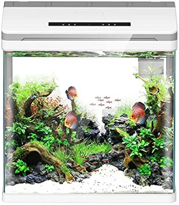 Wjccy mini aquário inteligente aquário betta peixe aquário criativo criativo lento tanque de peixes de mesa em casa vidro