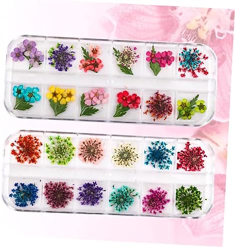 Toyandona 2 caixas Decorações de unhas para unhas Appliques de lantejoulas Mini flores secas para unhas pregos jóias de jóias
