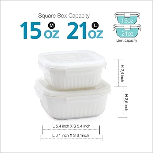 Zen Pleats Porcelain serve e armazenar recipientes herméticos 15 e 21 onças de caixas quadradas Conjunto de 2