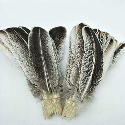 Palhas de águia natural para artesanato decoração de casamento plumas de carnaval de carnaval de artesanato diy decoração