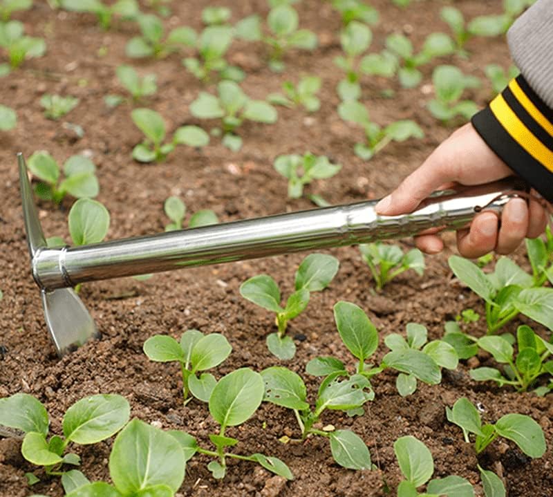 Lanyota Gardening Hoe, 2 em 1 pá e picareta, cavando ferramentas de jardim de enxadas pesadas em aço inoxidável plantio de