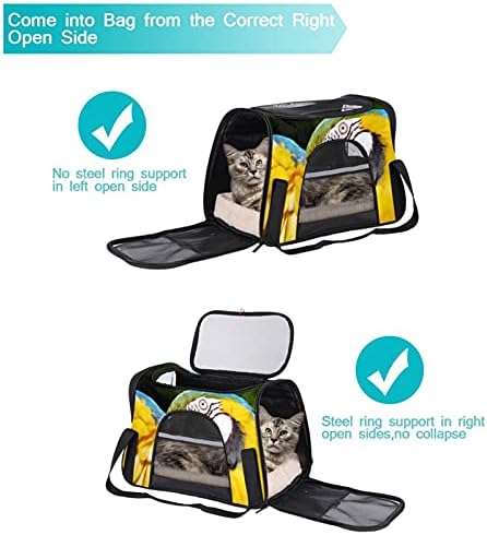 Pet Transportador Parrot Ara Macau Transportador de viagem para animais de estimação para gatos, cachorros Puppy Comfort portátil