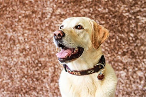 Premium Pattern Ribbon Designer Dog Collar para cães extras grandes, ajustável de 17-27 polegadas, Mocha Bone Gold