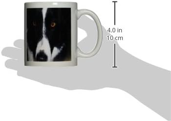 3drose border collie macro caneca, 11 onças