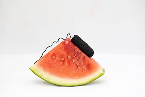 Juicy Watermelon sem reabastecimento de fio dental