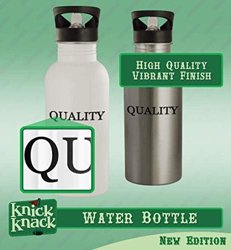 Presentes de Knick Knack Hosiery - 20 onças de aço inoxidável garrafa de água, prata