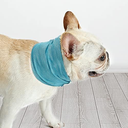 Honprad Borracha Tapetes para Dissipação de Cães para Cães Aquele Bandana Bandana Bandana Bandana Bandana Acessórios