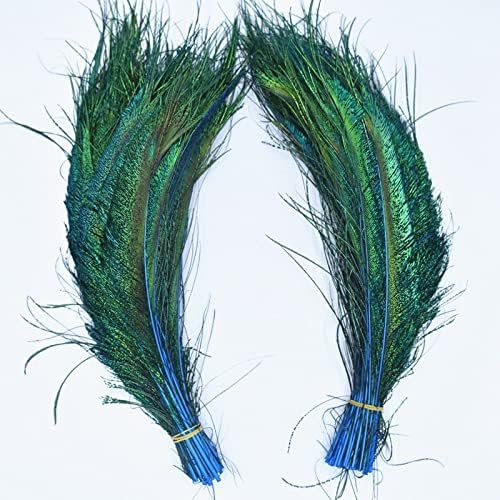Ttndstore 20pcs/lote penas de pavão asas de 12-14 jóias de pavão decoração de penas de penas para roupas plumas carnaval