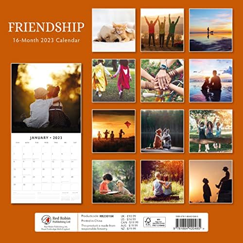 2023 Friendship Monthly Wall Calendar por Red Robin Calendários 12 x 12