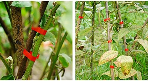 Fitas de jardim de perfacilidade para ferramenta de amarração de plantas, 20 rolos 1/2 * 100 pés esticam laços para tomates de