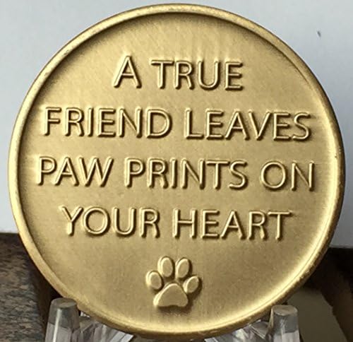 Memorial de Dog RecoveryChip sempre lembrado para sempre amado - PAW PRINTS ON Your Heart Medallion