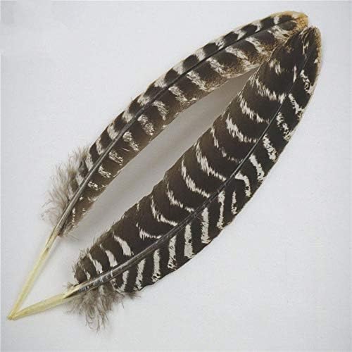 Scare, penas de águia natural reais de 16 a 18 polegadas de qualidade de águia de águia para decoração de casamento plumas de jóias