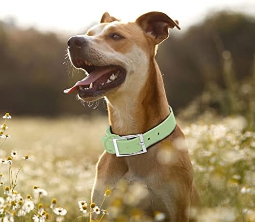 Collar de cachorro à prova d'água wisedog: múltiplo ajuste 8,5 ”a 32,6”, correias macias com revestimento de borracha,