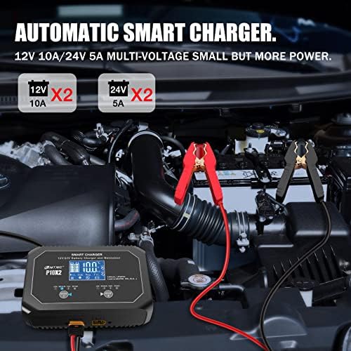 CARRADOR SMART DULO DE 20-AMP, carregador de bateria de carro, 12V e 24V, lítio, LifePO4, chumbo, carregador de chumbo,