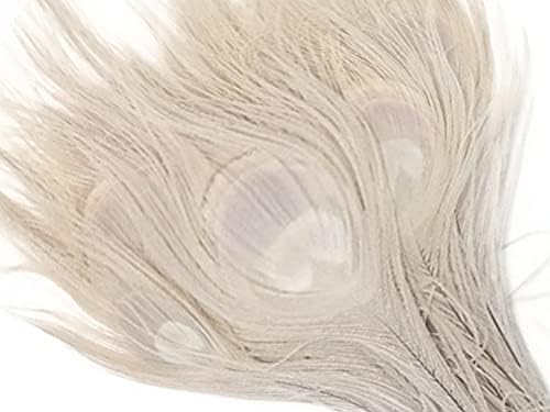5 peças - Feathers de olho de cauda de pavão branqueado de marfim 10-12 Longo da mosca de lanchone