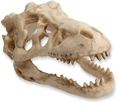 Decorações de aquário de Saim Modelo de Dinosaur Skull Modelo de esqueleto simulado Decoração de escritório em casa