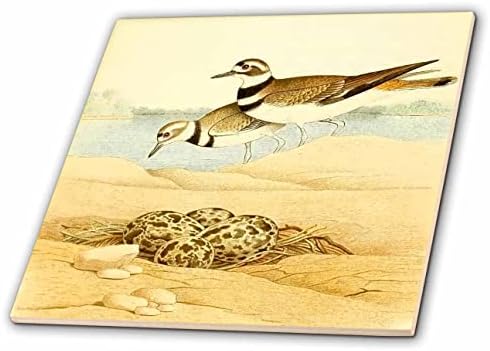 3drose vintage pássaro arte matar pássaros com ninho ovos ilustração impressão - ladrilhos