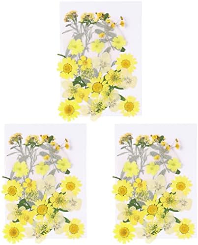 Coheali Pressado Flores secas 99pcs Scrapbooking Craft de flores prensado para resina amarela seca - Flowers Diy Art Crafts