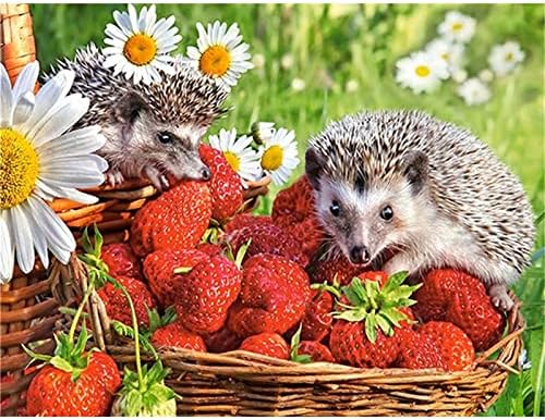 Diamond Pintura Hedgehog5d Diamond Art Kits para adultos/crianças/iniciantes Diamond Diamond Gem Art Diy Paint by