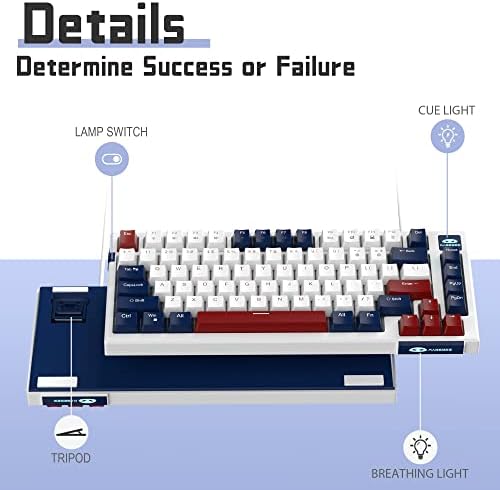 Teclado de jogos mecânicos porcentagem de 60% da Dansher, 81 tecidos teclados mecânicos led teclado de escritório com retroilumação