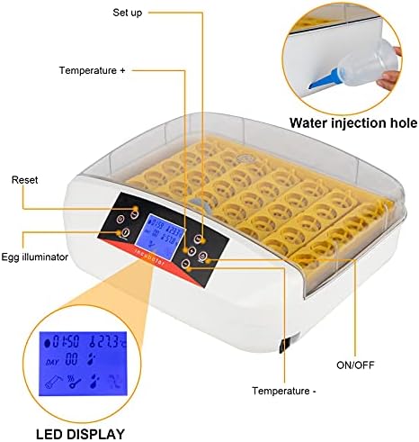 MOXAH 42-OVE PRÁTICA INCUBAÇÃO DE AVES TOLO AUTOMÁTICO COM CANDER DE CANDER DE OGO US PADRÃO AMARELO && Branco e Transparente