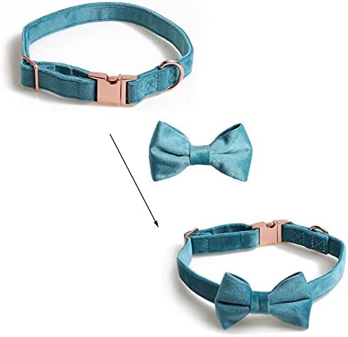 MAOTOPCOM CLARA DE PET PETO MAOTOPCOM COM CARTA DE BOWTIE REMOVÁVEL, VELVET CARCO BOWA