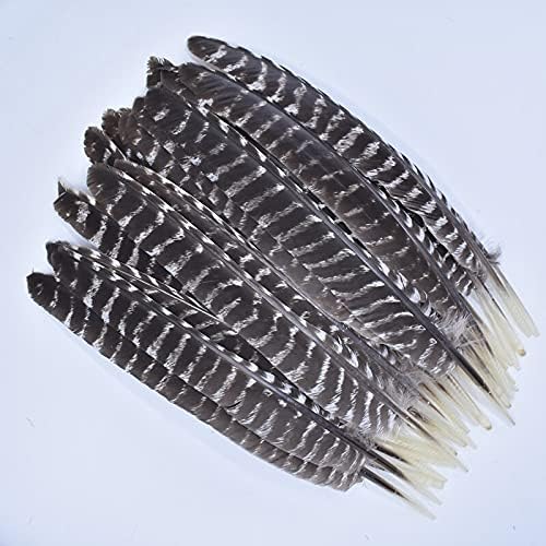 10pcs/lote de penas de águia natural reais para decoração de perus artesanato de carnaval acessórios de festa de penas decoração
