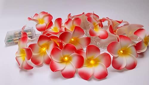 Fantasee 40 LEVAS LUZES DE PLUMIA ROSA LED, FOAM LUZES DE FLORES LUZES DE FLORES BATERIAIS PLUMERIA ARTIFICIAL PARA