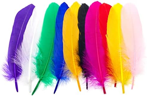 300pcs penas coloridas de ganso 4-6 polegadas Feathers naturais para acessórios de apanhador de sonho DIY decoração de festa de casamento
