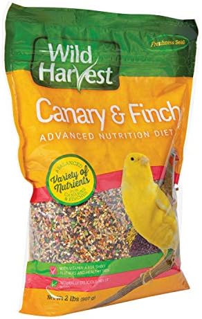 Wild Harvest B12492Q-001 Mistura de alimentos Canários e Finch, um tamanho, 2,17 libras