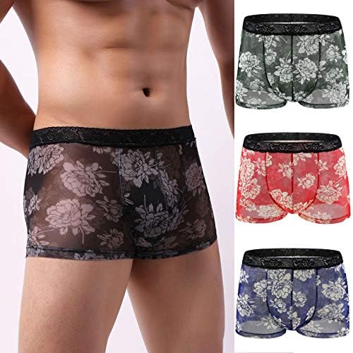 Cueca de cueca masculina Roupa íntima respirável 4pc Lace Briefs boxer masculino transparente masculino resumo