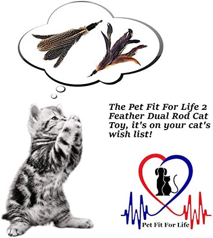 Pet Fit for Life 2 Feather Teaser e Exerciser para Cat and Kitten - Cat Toy Interactive Cat Wand