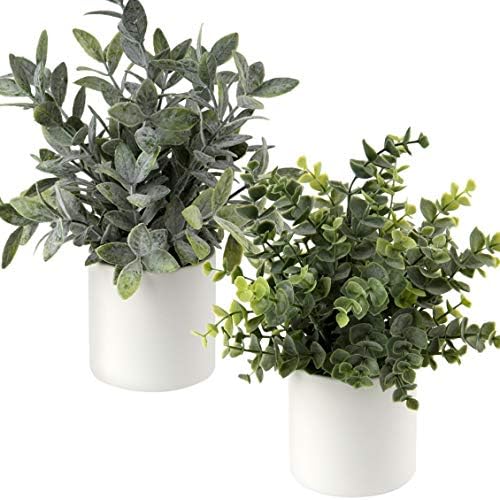 Mini plantas falsas Brifel Conjunto de 2 pequenas plantas falsas eucalipto alecrim vetera