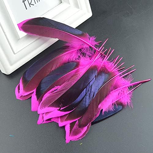 Zamihalaa Fantas de faisão para artesanato 10-15cm 4-6 Feathers naturais de frango para jóias Fazendo galo de casamento plumas