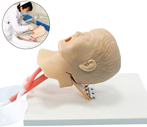 Fhuili Intubation Traning Manikin Modelo - Simulador de Treinamento de Intubação de Intubação das Vias Nasal Oral Modelo de