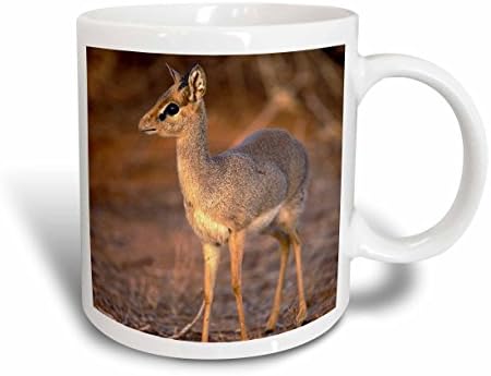 3drose Quênia Sam Buru Buru Gunther Sunado Dik Dik Antelope - Adam Jones, caneca de cerâmica, 11 onças