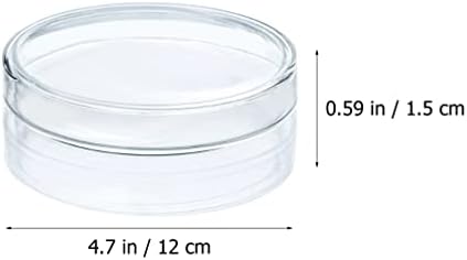 Cabilock Terrarium 2pcs Vidro Petri Patrods Com tampas Clear Culture Dish Scientific Scientific Petri Patrilheira Petri para Projetos